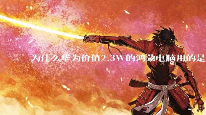 为什么华为价值2.3W的鸿蒙电脑用的是美国西数的SN740固态硬盘？