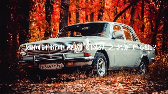 如何评价电视剧《以法之名》1-6集？