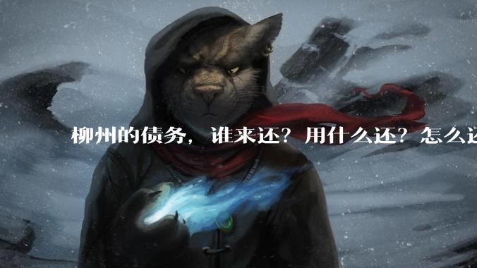 柳州的债务，谁来还？用什么还？怎么还？