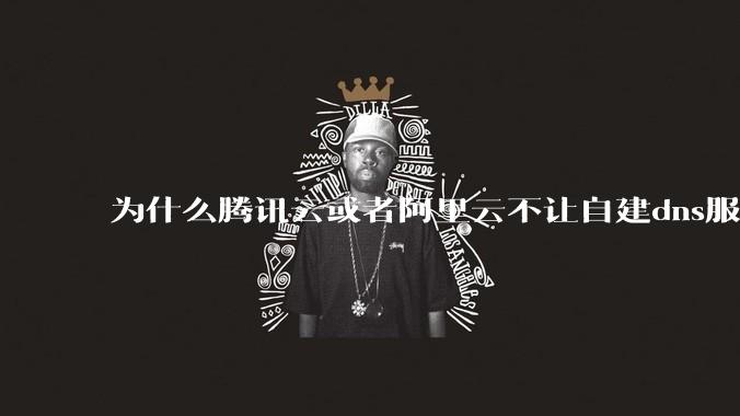 为什么腾讯云或者阿里云不让自建dns服务器?