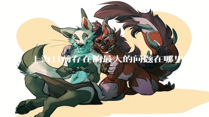 上海目前存在的最大的问题在哪里？